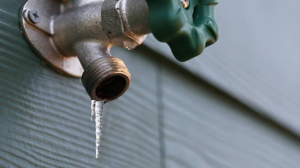 Best Commercial Plumbing Services  in Macclenny, FL
